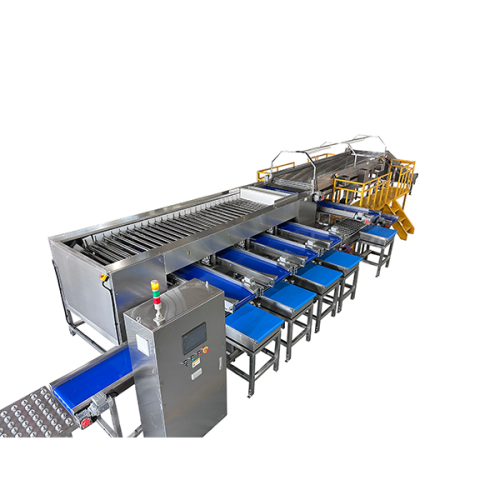 box filling system box filling system